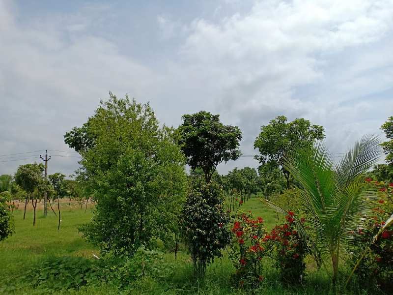  Agricultural Land 105 Sq.ft. for Sale in Nadiad express way Nadiad