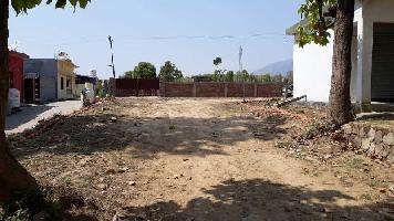  Residential Plot for Sale in Aamwala, Dehradun