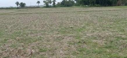  Residential Plot for Sale in Marine Drive Road, Puri