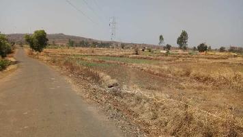  Agricultural Land for Sale in Shirala, Sangli