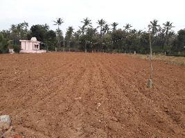  Agricultural Land for Sale in Hoskote, Bangalore