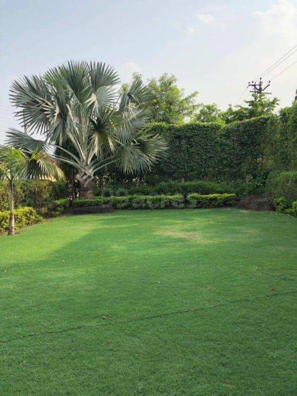 Residential Plot 250 Sq. Yards for Sale in