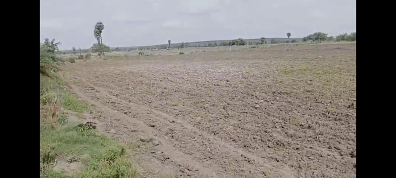  Agricultural Land 31 Acre for Sale in Tandur, Vikarabad