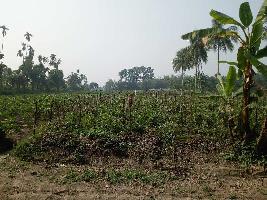  Agricultural Land for Sale in Bamangachi, Kolkata