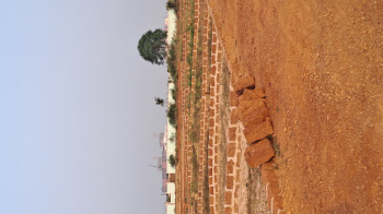  Residential Plot for Sale in Info Valley, Bhubaneswar