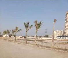  Residential Plot for Sale in Sector 77 Faridabad