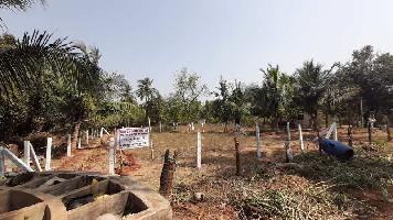  Agricultural Land for Sale in Boyapalem, Visakhapatnam