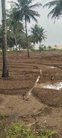  Agricultural Land for Sale in Kinathukadavu, Coimbatore