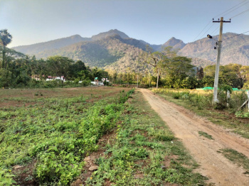  Agricultural Land for Sale in Kinathukadavu, Coimbatore