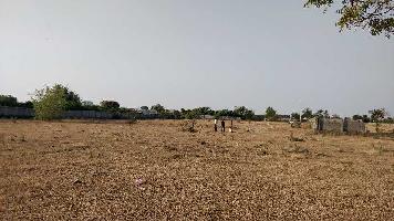  Agricultural Land for Rent in Nagar Pune Road, Ahmednagar