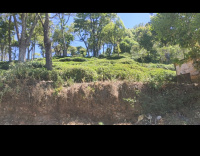 Residential Plot for Sale in Kotagiri, Nilgiris