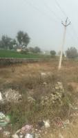  Agricultural Land for Sale in Chikani, Alwar