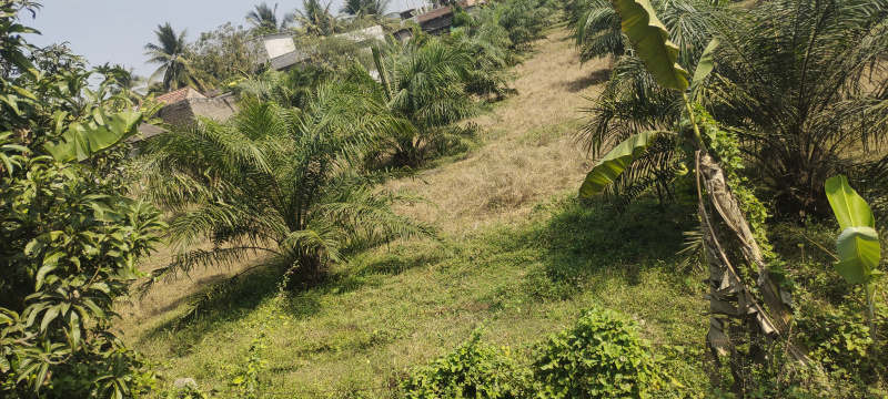  Agricultural Land 2 Acre for Sale in Gopalapuram, West Godavari