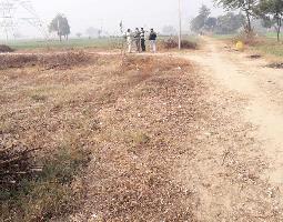  Residential Plot for Sale in Dudhola, Palwal