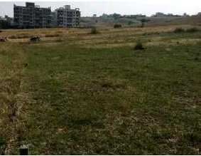  Residential Plot 1900 Sq.ft. for Sale in Puikhadi, Kolhapur