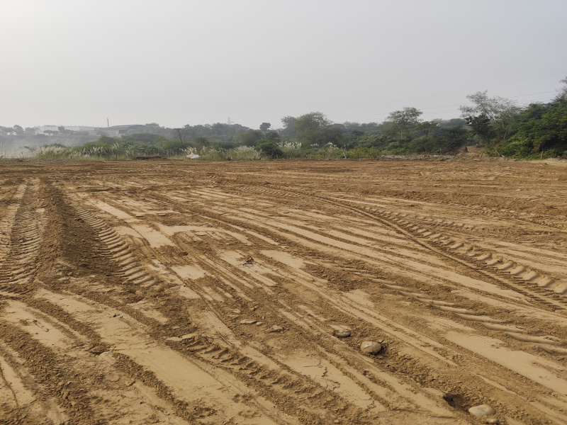  Agricultural Land 25 Acre for Sale in Naraingarh, Ambala