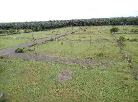  Residential Plot for Sale in Nachipalayam, Coimbatore