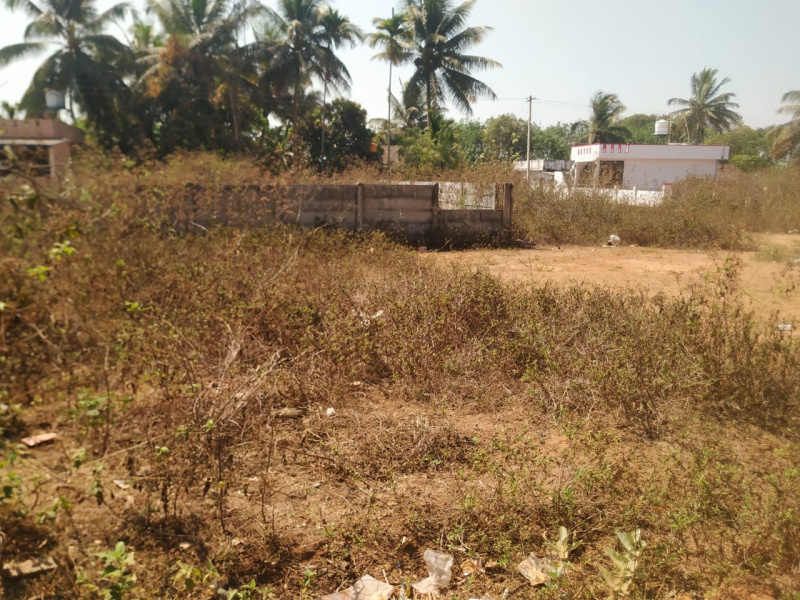  1200 Sq.ft. Residential Plot for Sale in Vinoba Nagar, Shimoga