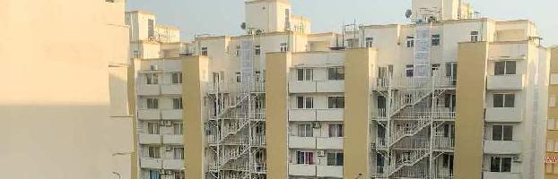 4 BHK Flat for Rent in Sector 65 Gurgaon