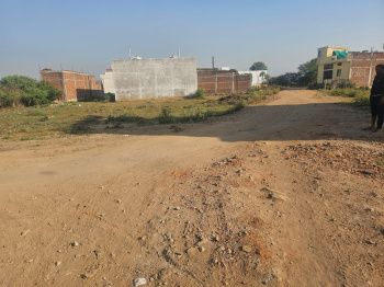  Residential Plot for Sale in Rajgir, Nalanda