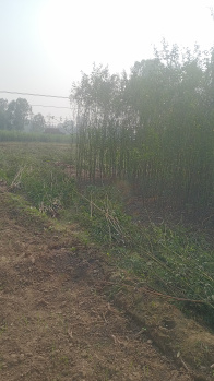  Agricultural Land for Sale in Khurja, Bulandshahr