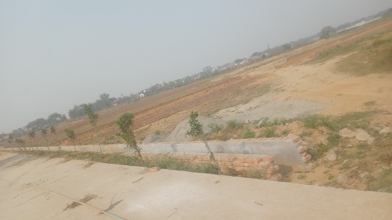  Residential Plot 77 Sq. Yards for Sale in Sikandrabad, Bulandshahr