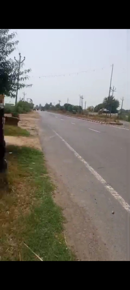  Agricultural Land 9 Bigha for Sale in Anupshahr, Bulandshahr