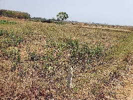  Commercial Land for Sale in Baharagora, Purbi Singhbhum