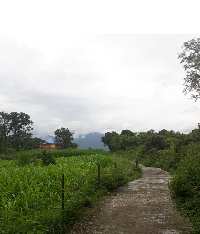  Agricultural Land for Sale in Baijnath, Kangra