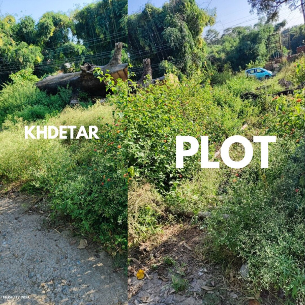  Residential Plot 20 Marla for Sale in Panchrukhi, Kangra