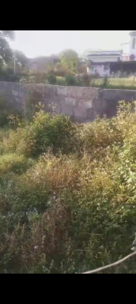  Residential Plot 9 Marla for Sale in Dari, Dharamsala