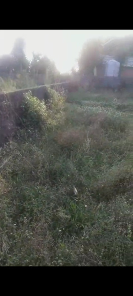  Residential Plot 9 Marla for Sale in Dari, Dharamsala