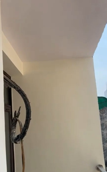 3 BHK Builder Floor 810 Sq.ft. for Sale in Mahavir Enclave, Delhi