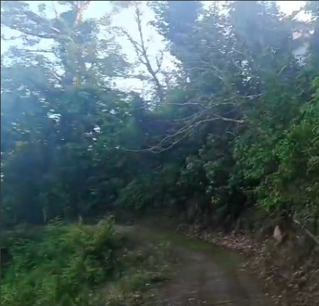  Residential Plot 6 Biswa for Sale in Nahan, Sirmour