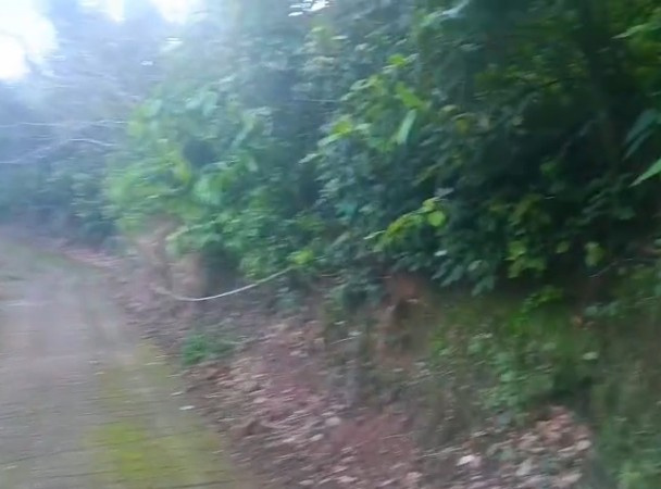  Residential Plot 6 Biswa for Sale in Nahan, Sirmour