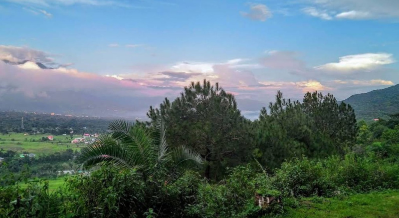  480 Marla Residential Plot for Sale in Chauntra, Mandi