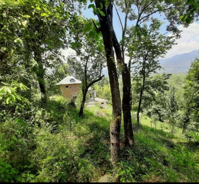  480 Marla Residential Plot for Sale in Chauntra, Mandi