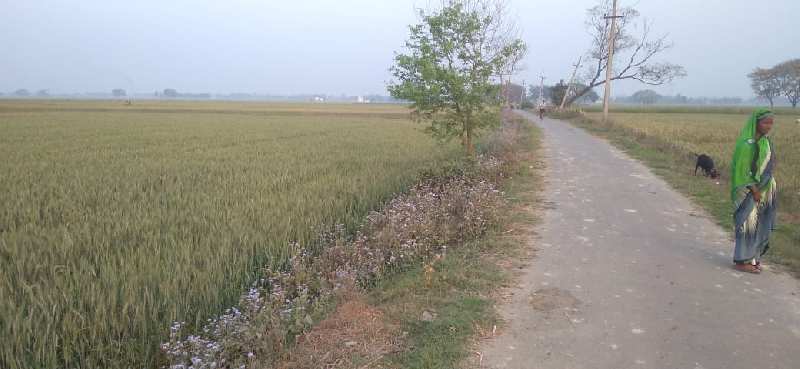 Agricultural Land 2000 Sq.ft. for Rent in Rampur Karkhana, Deoria