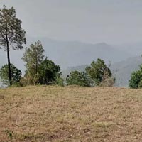  Commercial Land for Sale in Kasauli, Solan