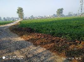  Agricultural Land for Sale in Nakur, Saharanpur