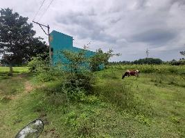  Agricultural Land for Sale in Thendral Nagar, Sathuvachari, Vellore