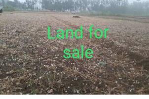  Agricultural Land for Sale in Hata, Kushinagar