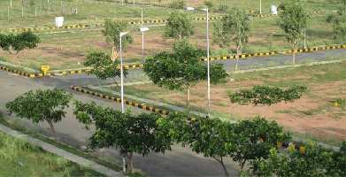  Residential Plot for Sale in Sector 10 DLF, Faridabad