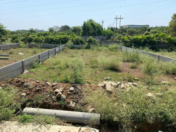  Residential Plot for Sale in Koni, Bilaspur