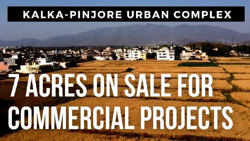  7 Ares Agricultural/Farm Land for Sale in Pinjore, Panchkula