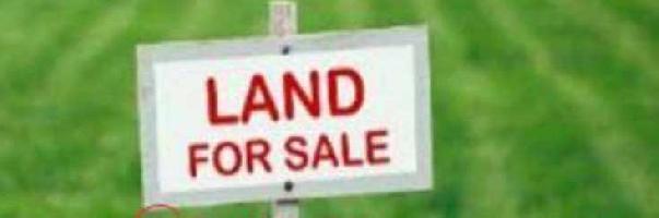  Residential Plot for Sale in Aul, Kendrapara