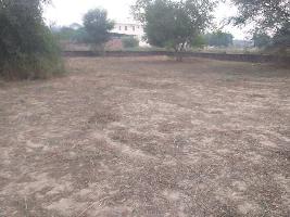 Commercial Land for Sale in Bagha Purana, Moga