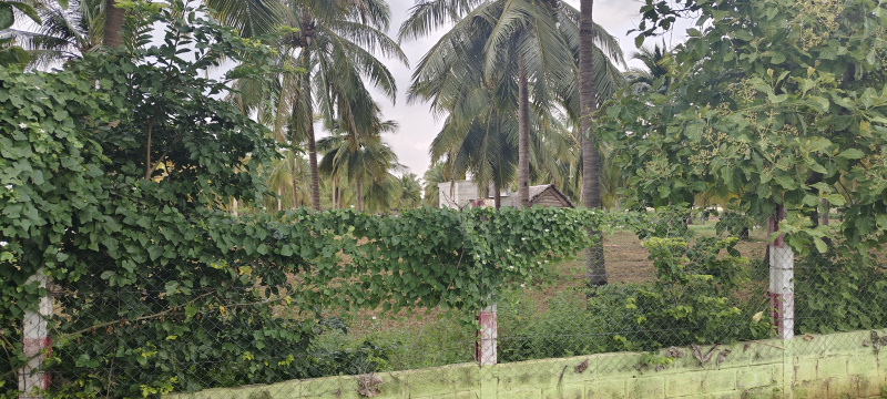 1 RK 10000 Sq.ft. Farm House for Sale in Dindigul Road, Tiruchirappalli