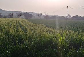  Agricultural Land for Sale in Junnar, Pune
