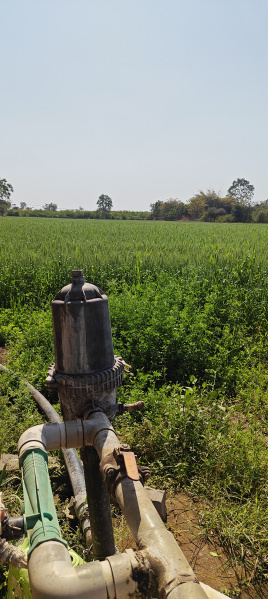  Agricultural Land 9 Acre for Sale in Achalpur, Amravati